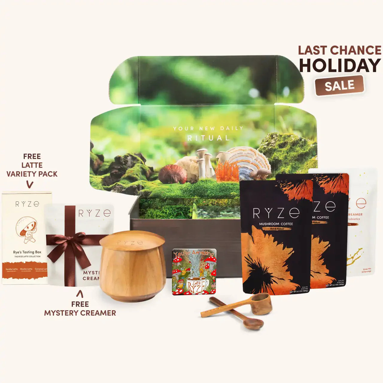 Mushroom Coffee - Select MG8966