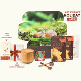 Mushroom Coffee - Select MG8966