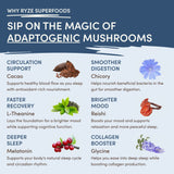 Mushroom Hot Cocoa - Select MG7773