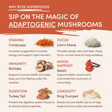 Superfood Creamer - Select MG4851